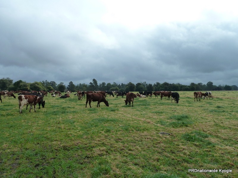 11825 Summerland way, Kyogle NSW 2474