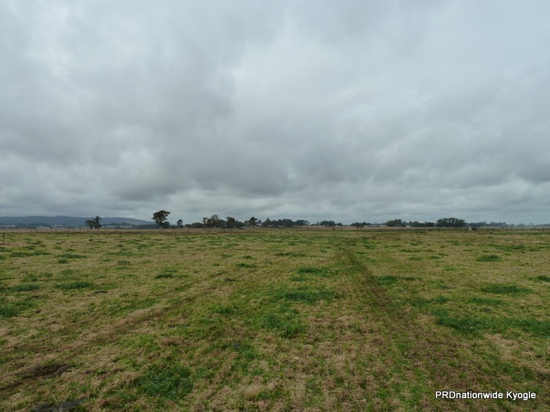 11825 Summerland way, Kyogle NSW 2474