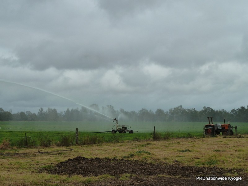 11825 Summerland way, Kyogle NSW 2474