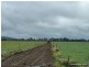11825 Summerland way, Kyogle NSW 2474