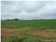 11825 Summerland way, Kyogle NSW 2474