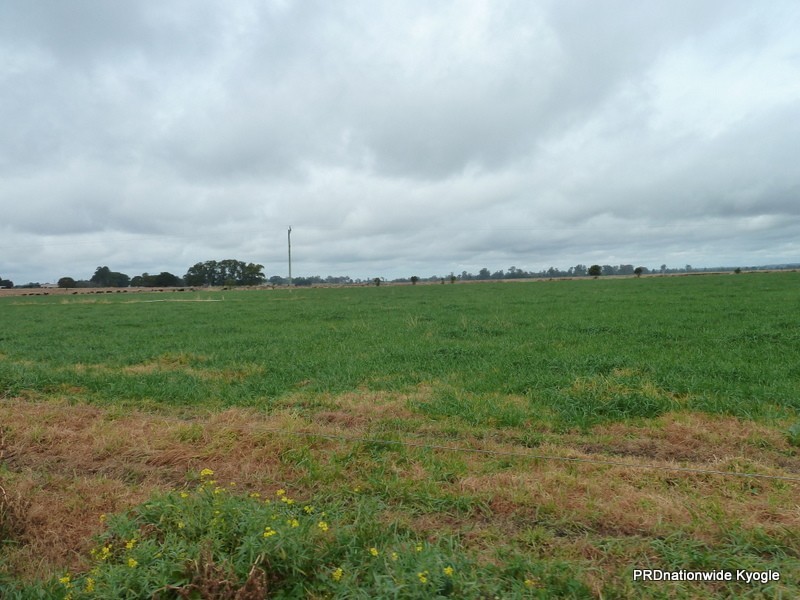 11825 Summerland way, Kyogle NSW 2474