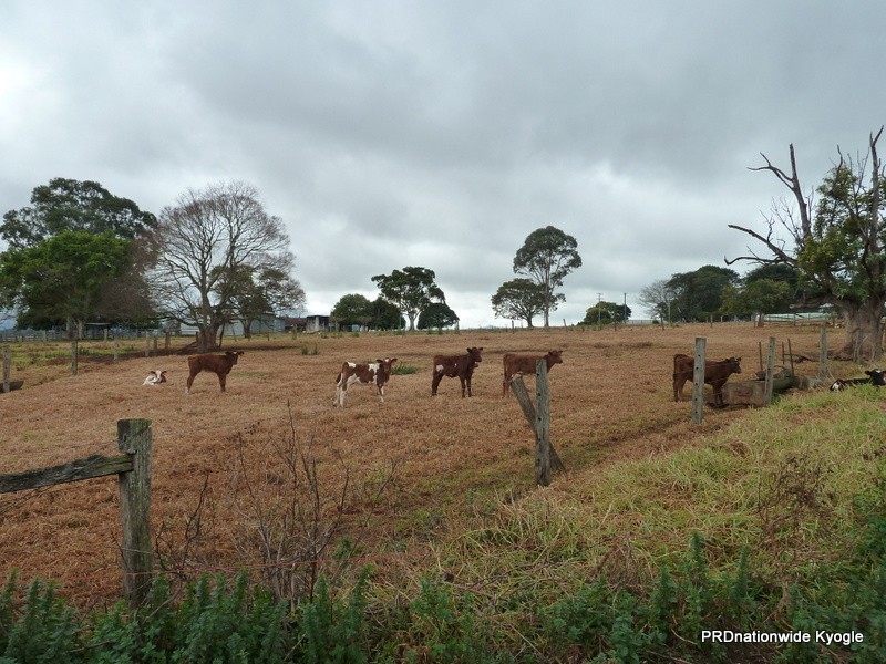 11825 Summerland way, Kyogle NSW 2474