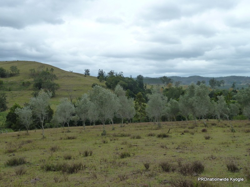 138 Iron Pot Creek Road, Kyogle NSW 2474