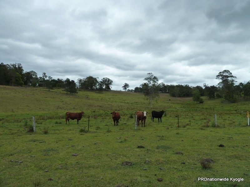 138 Iron Pot Creek Road, Kyogle NSW 2474