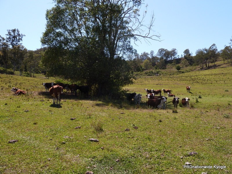 742 Ghinni Ghi Road, Kyogle NSW 2474