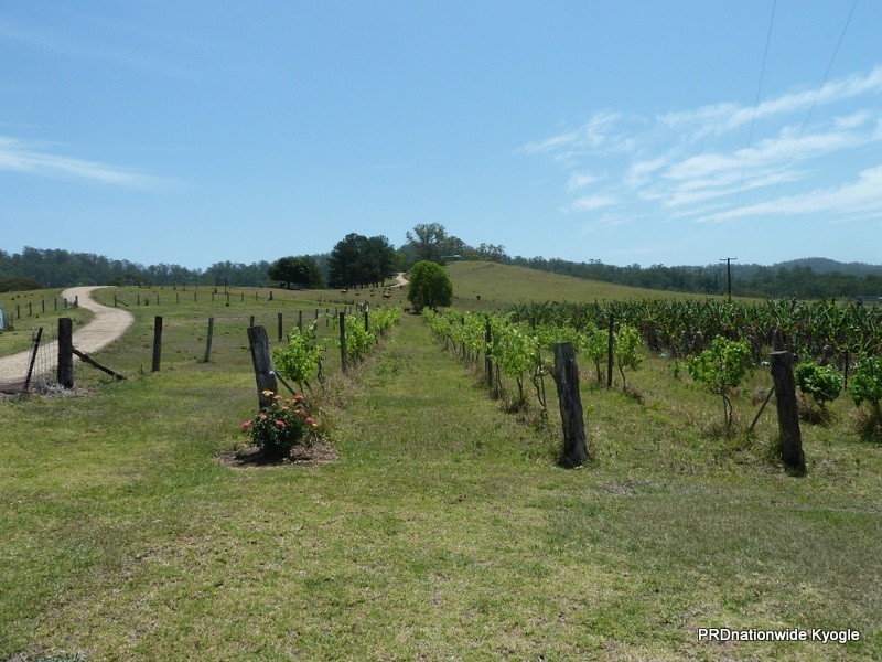 5643 Kyogle Road, Kyogle NSW 2474