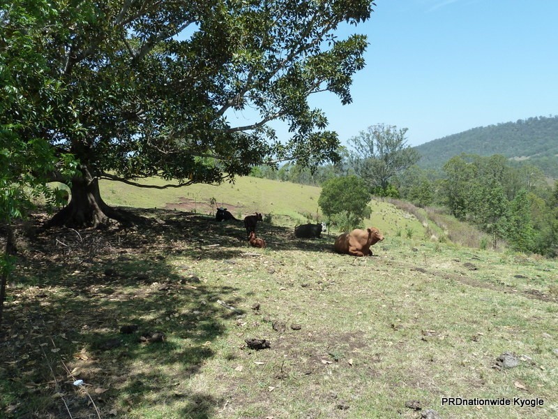 5643 Kyogle Road, Kyogle NSW 2474