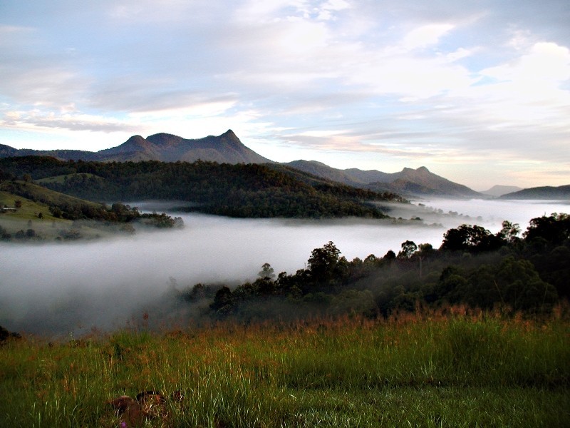 2981 Kyogle Road, Kunghur NSW 2484