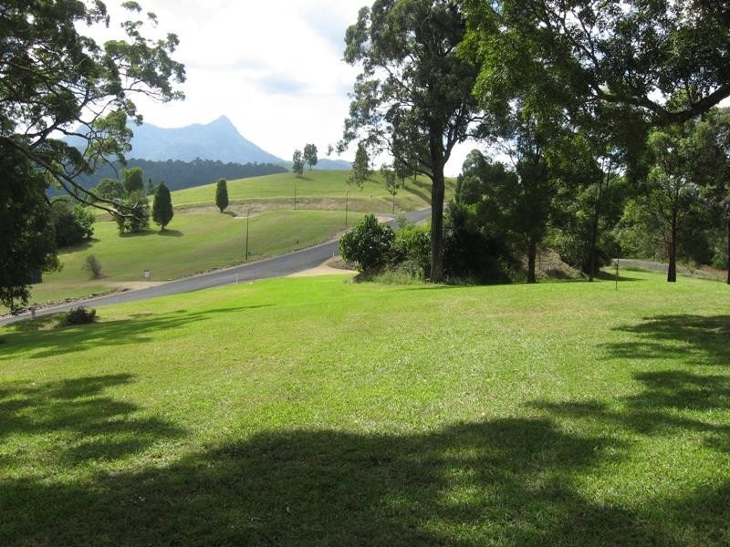 2981 Kyogle Road, Kunghur NSW 2484