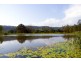 2981 Kyogle Road, Kunghur NSW 2484