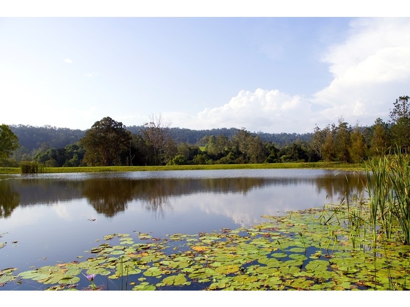2981 Kyogle Road, Kunghur NSW 2484