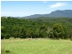2981 Kyogle Road, Kunghur NSW 2484