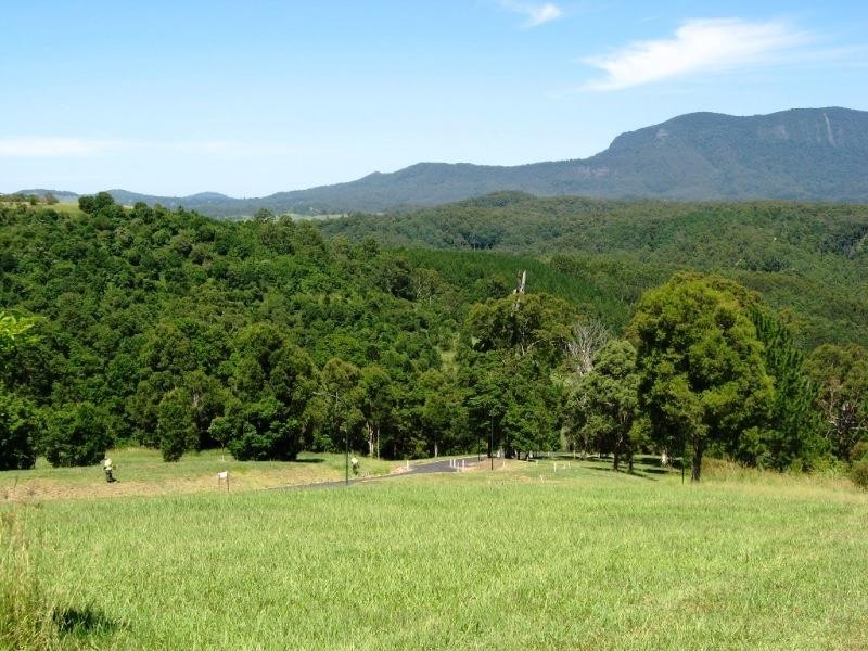 2981 Kyogle Road, Kunghur NSW 2484
