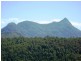 2981 Kyogle Road, Kunghur NSW 2484