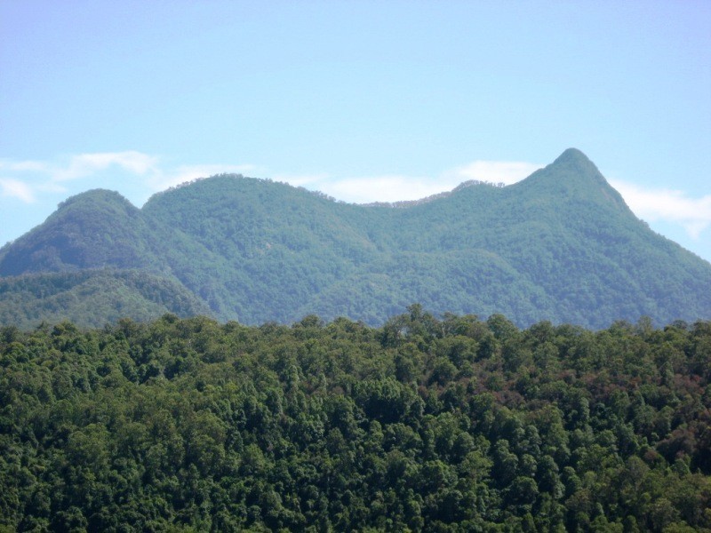2981 Kyogle Road, Kunghur NSW 2484