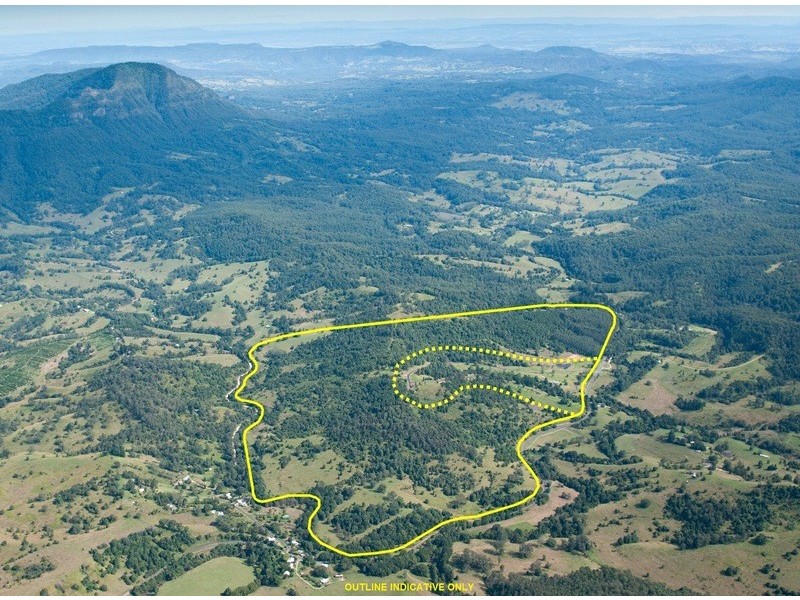 2981 Kyogle Road, Kunghur NSW 2484