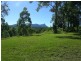 2981 Kyogle Road, Kunghur NSW 2484