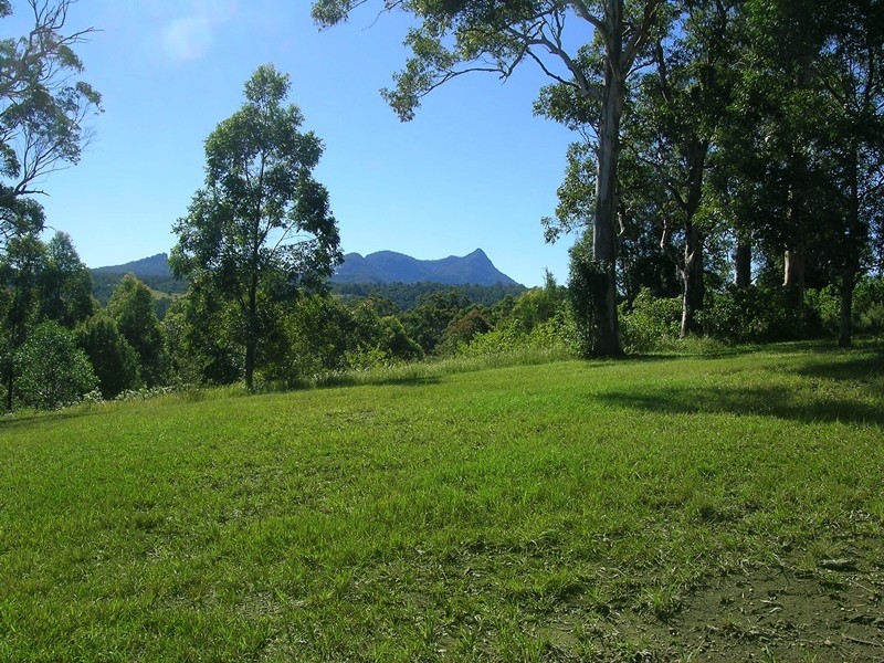 2981 Kyogle Road, Kunghur NSW 2484