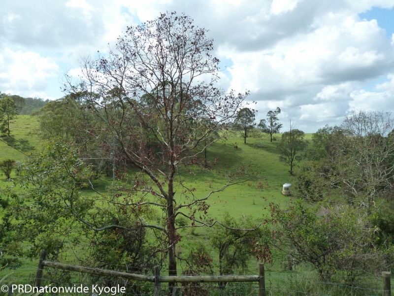 613 Hillyards Road, Cedar Point, Kyogle NSW 2474