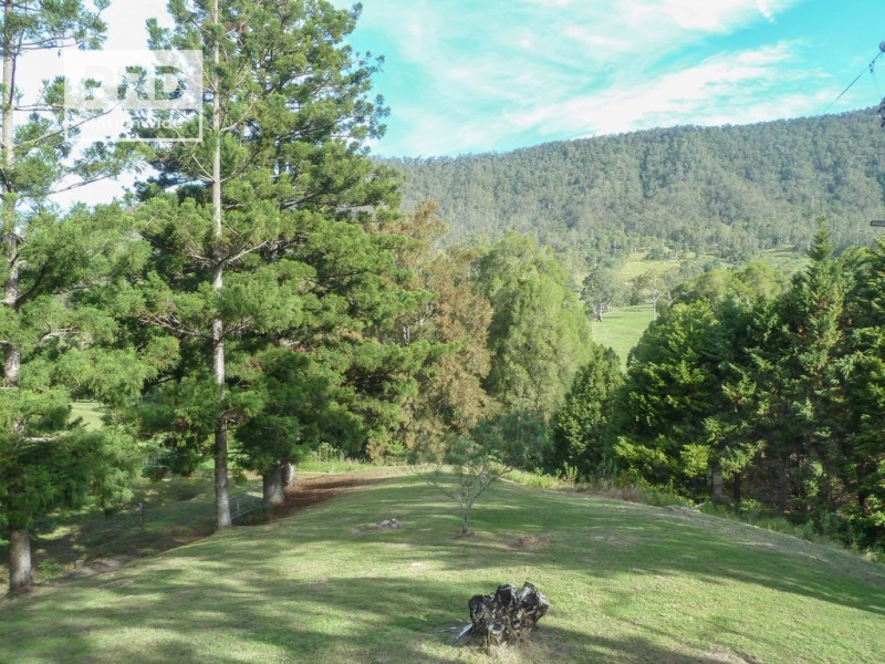 936 Roseberry Creek Road, Roseberry Creek NSW 2474