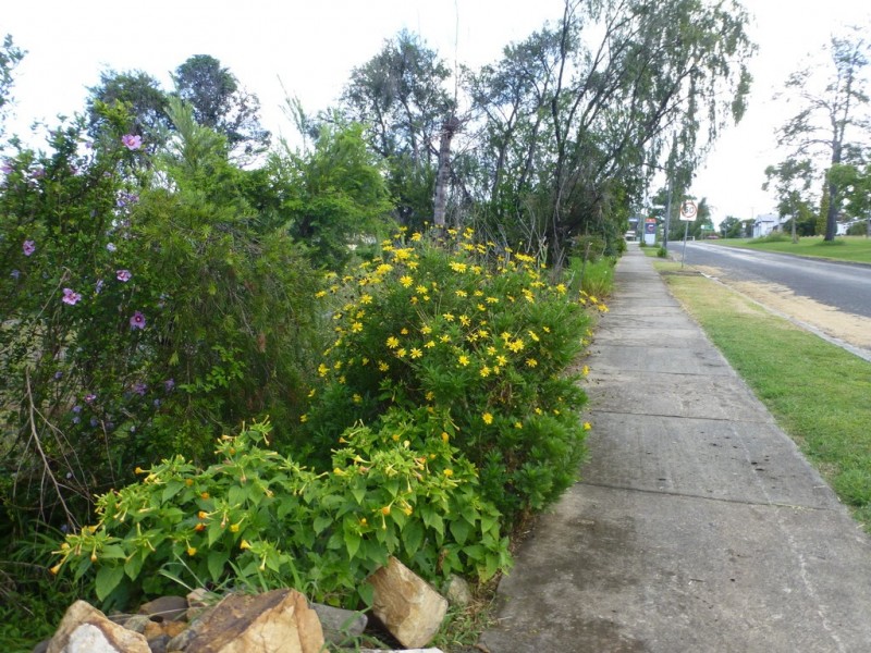 33 Macpherson Street, Woodenbong NSW 2476