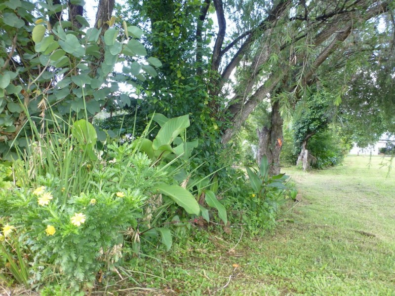 33 Macpherson Street, Woodenbong NSW 2476