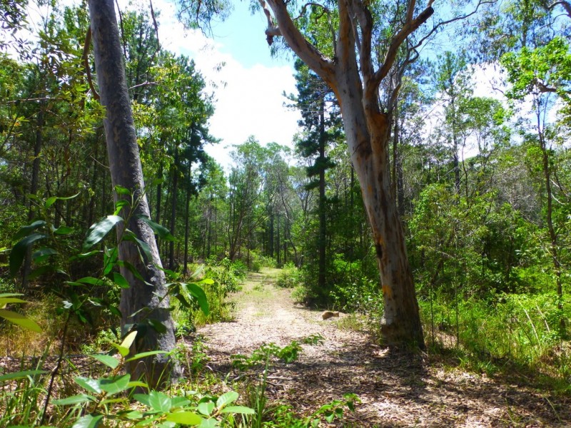 525 Bruxner Road, Tabulam NSW 2469