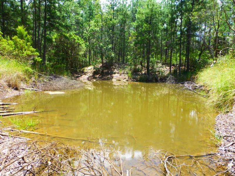 525 Bruxner Road, Tabulam NSW 2469