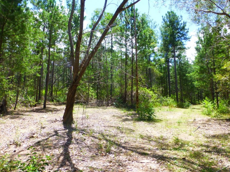 525 Bruxner Road, Tabulam NSW 2469