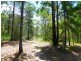 525 Bruxner Road, Tabulam NSW 2469