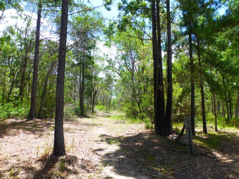 525 Bruxner Road, Tabulam NSW 2469