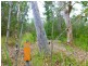 525 Bruxner Road, Tabulam NSW 2469