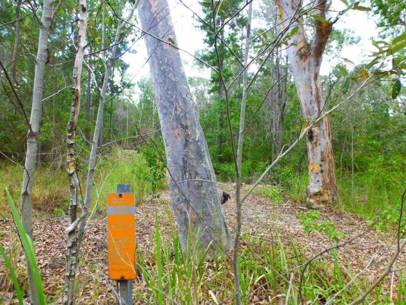 525 Bruxner Road, Tabulam NSW 2469