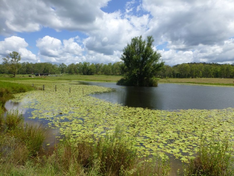 LOT 144 Old Lawrence Road DEEP CREEK, Mallanganee NSW 2469