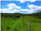 LOT 144 Old Lawrence Road DEEP CREEK, Mallanganee NSW 2469
