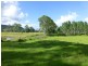 Lot 26 Tabulam Road, LOWER BOTTLE CREEK Via, Tabulam NSW 2469