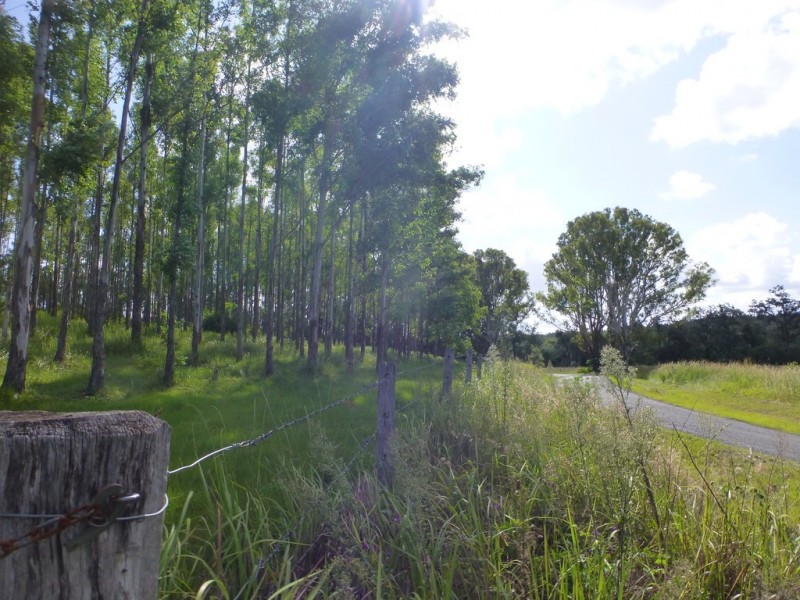 Lot 26 Tabulam Road, LOWER BOTTLE CREEK Via, Tabulam NSW 2469