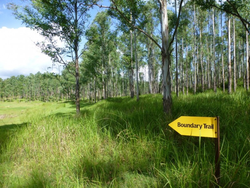 Lot 26 Tabulam Road, LOWER BOTTLE CREEK Via, Tabulam NSW 2469