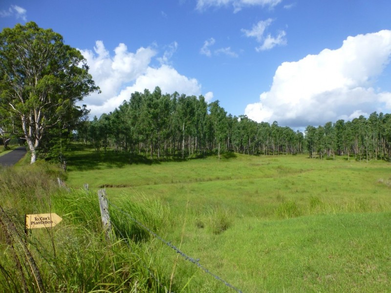 Lot 26 Tabulam Road, LOWER BOTTLE CREEK Via, Tabulam NSW 2469