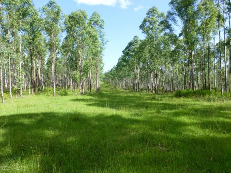 Lot 26 Tabulam Road, LOWER BOTTLE CREEK Via, Tabulam NSW 2469