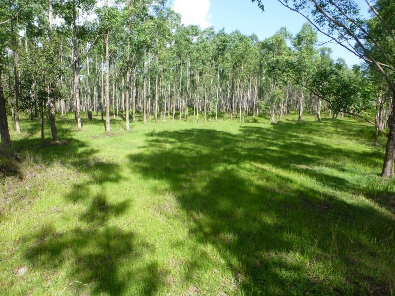 Lot 26 Tabulam Road, LOWER BOTTLE CREEK Via, Tabulam NSW 2469
