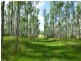 Lot 26 Tabulam Road, LOWER BOTTLE CREEK Via, Tabulam NSW 2469