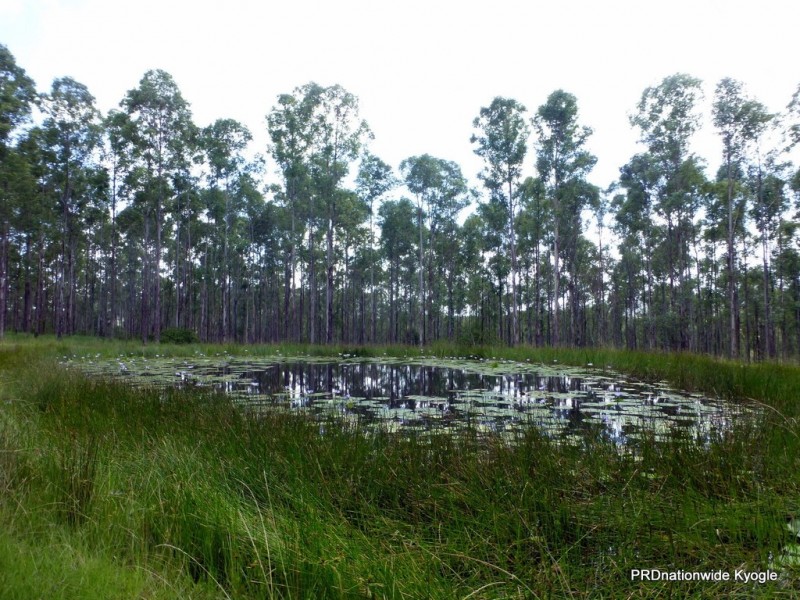 Lot 26 Tabulam Road, LOWER BOTTLE CREEK Via, Tabulam NSW 2469