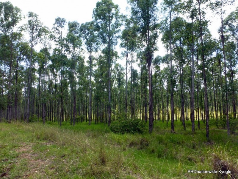 Lot 26 Tabulam Road, LOWER BOTTLE CREEK Via, Tabulam NSW 2469