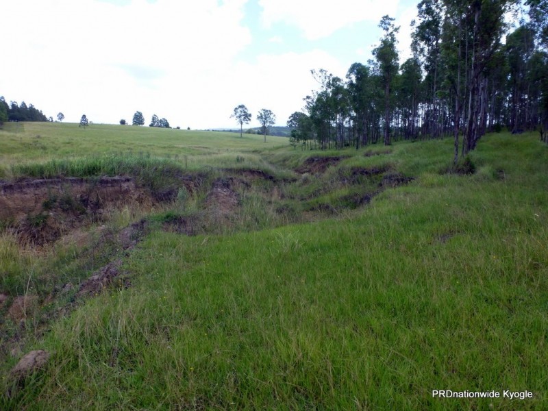 Lot 26 Tabulam Road, LOWER BOTTLE CREEK Via, Tabulam NSW 2469