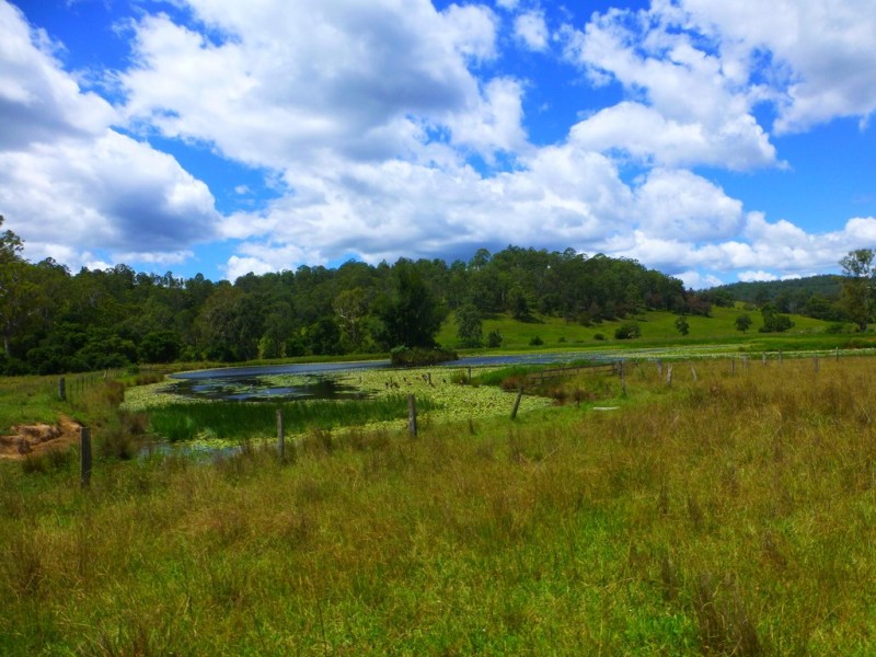 Lot 143 Old Lawrence Road, DEEP CREEK via, Mallanganee NSW 2469