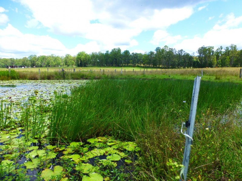 Lot 143 Old Lawrence Road, DEEP CREEK via, Mallanganee NSW 2469