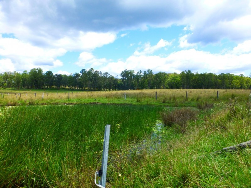 Lot 143 Old Lawrence Road, DEEP CREEK via, Mallanganee NSW 2469