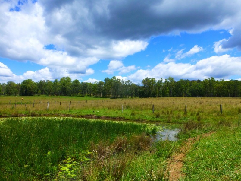 Lot 143 Old Lawrence Road, DEEP CREEK via, Mallanganee NSW 2469